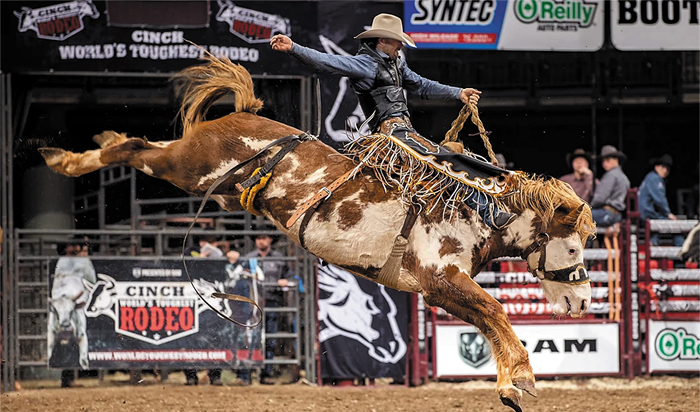 Sample St. Paul Events & Entertainment Guide: February 2026