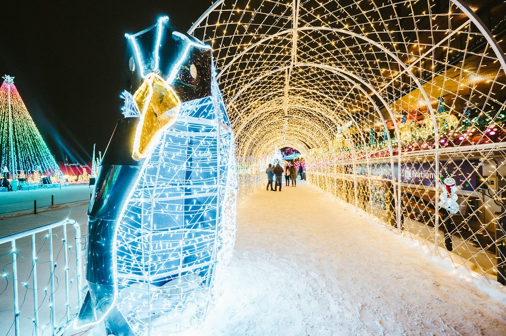 Actividades Navideñas Diciembre 2024
