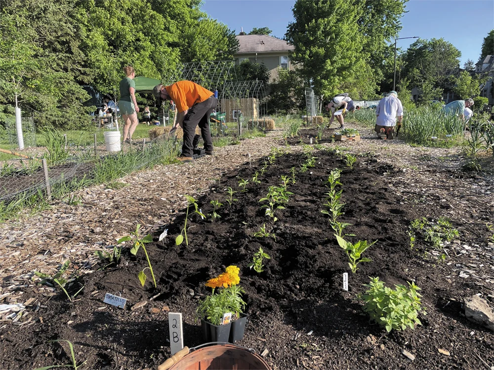 community gardens