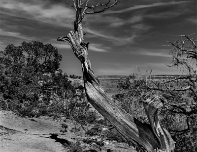 Kaposia Camera Club hosts new workshops
